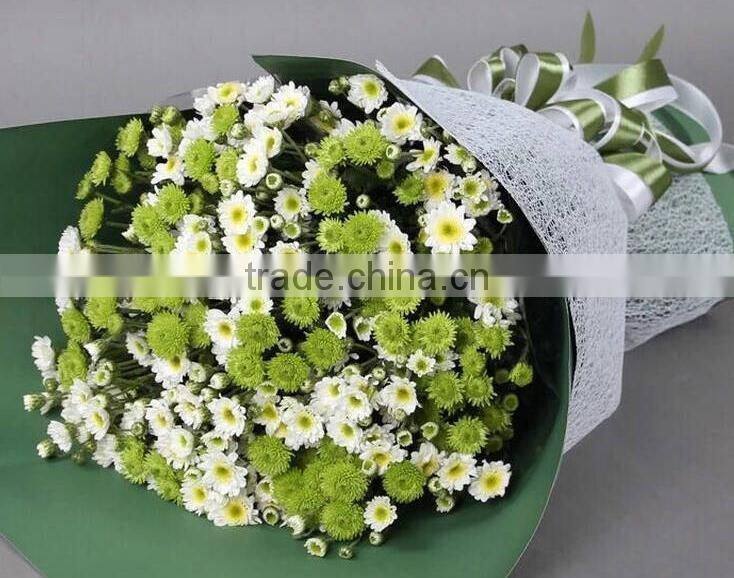 Top Sell Fresh Cut Flower Home& Party Decoration Chrysanthumum Flower Mini Bud Size Flowers From Yunnan