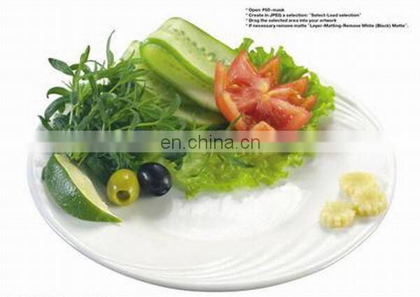 round hotel porcelain dishes/white plate