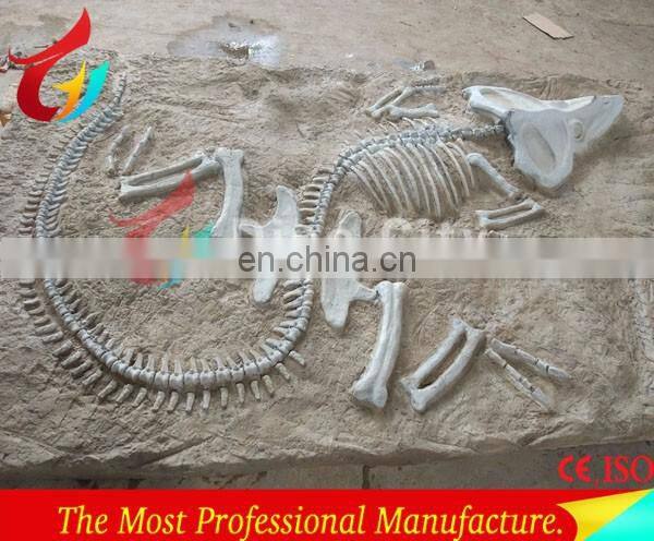 amusement park dig it out real size dinosaur excavation fossil