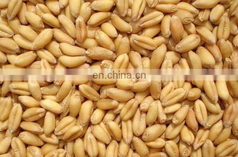 Alibaba China machine farm, small farm machine, mini grain dryer price list