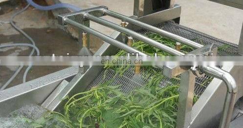 tomato eggplant vegetable washing machine
