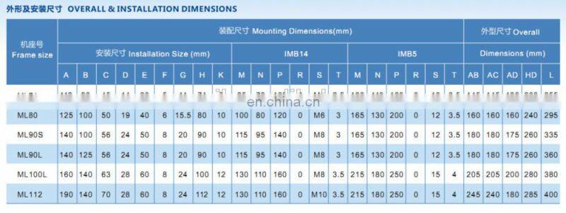 ML series 70w motor small induction motor single phase 300w