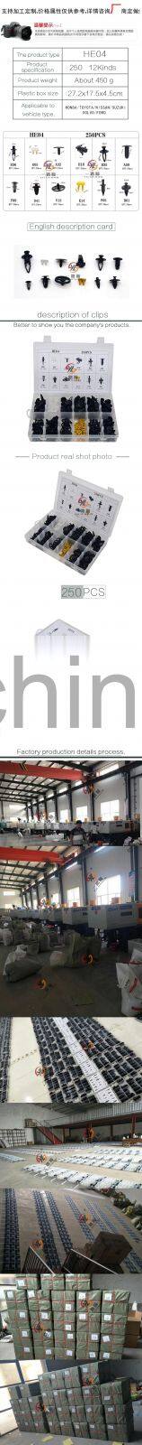 250pcs Nylon Auto Plastic Fasteners Assorted HE04