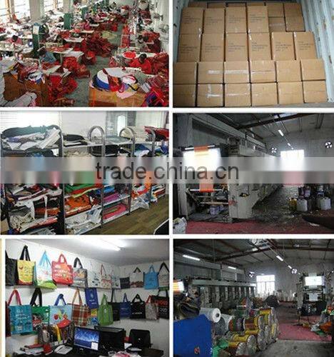 2013 Promotional Non woven Wine Bag non woven 6 bottle wine bag