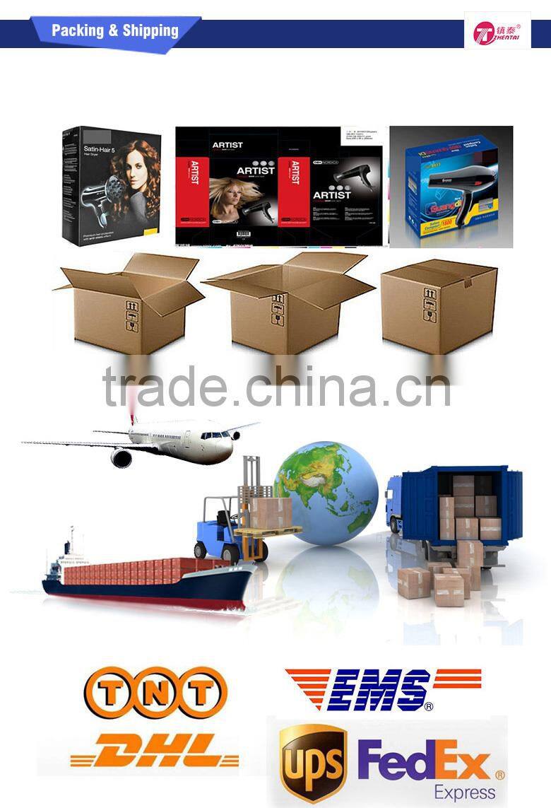 New Arrival Travel Hair Blower Dryer 1600W