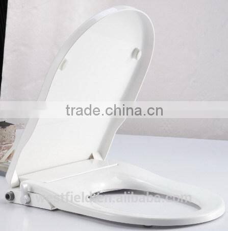 Factory Bathroom Auto-cleaning Toilet Bidet&Toilets with Built-in Bidet