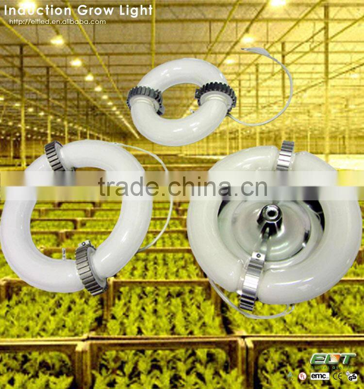 full spectrum induction lamps item type and plasma grow light