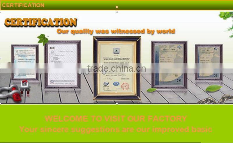 US Forged screw pin d shackle made in china