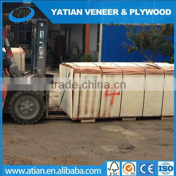 Decorative AB grade poplar wood face veneer to Egypt market 0.3mm factory