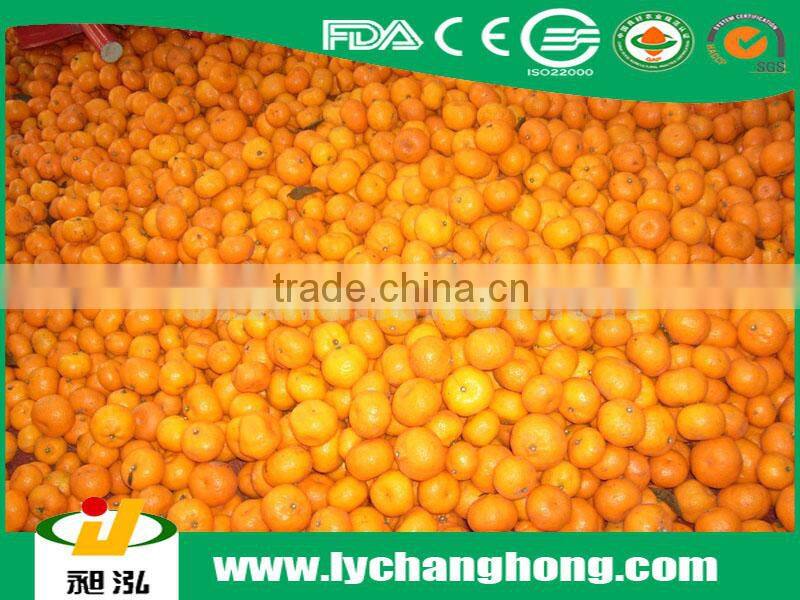 Yellow orange fruit/names of red fruits