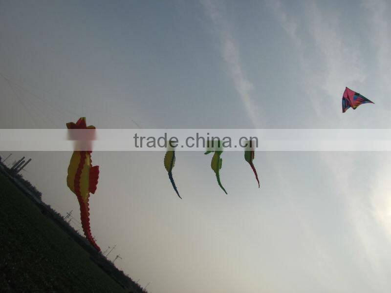 beautiful sunny flower inflatable kite