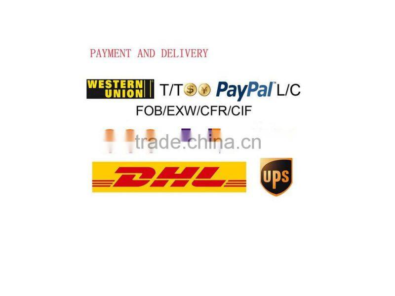 custom recycled PET school backpack foldable rucksack HL-RP007