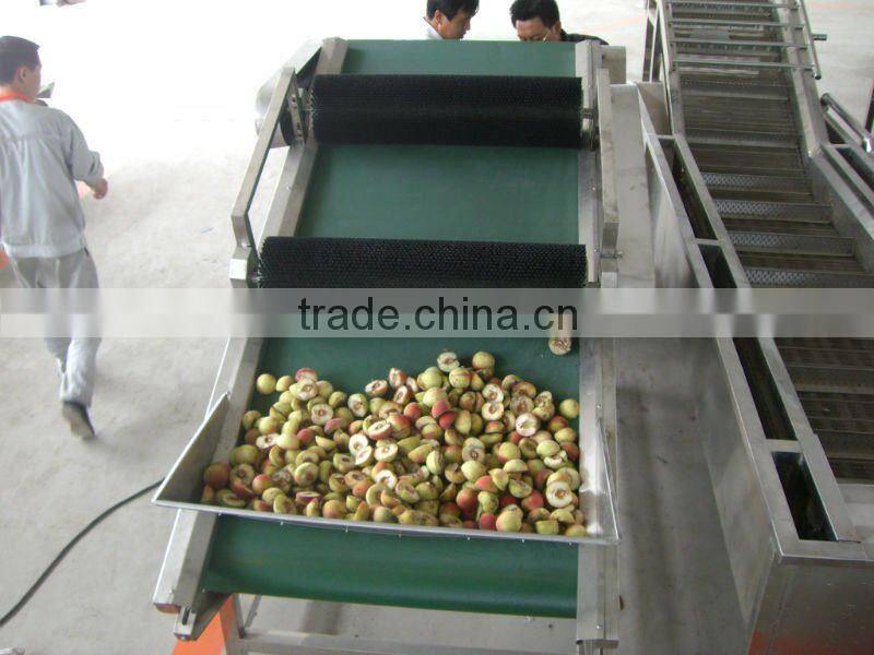 Automatic peach flap turnover machinery