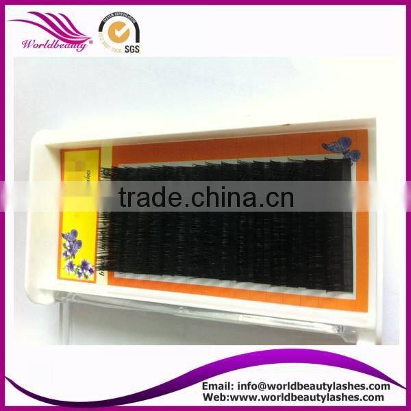 Top quality Wholesale price eyelash extension