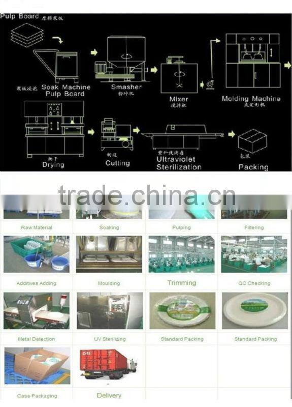 a Biodegradable Disposable Sugarcane Bagasse Ellipse Plate