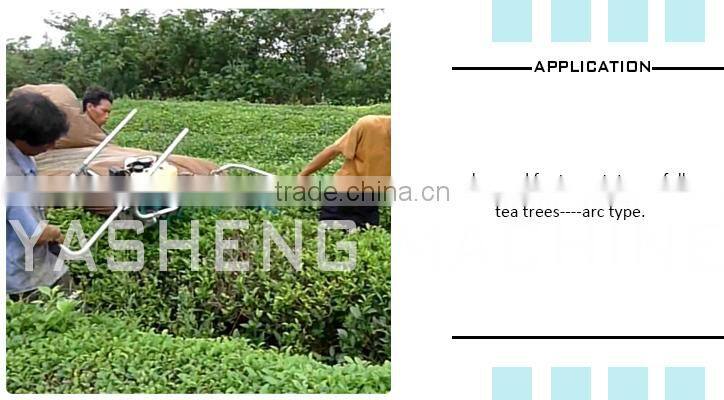 Hot Sale Two-man Tea Plucking Machinery for Sale