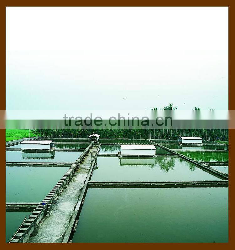 Taiwan Natural health Essence of Terrapin drink fine nutrition