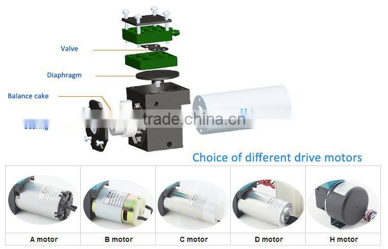 Brushless DC micro membrane micro pump
