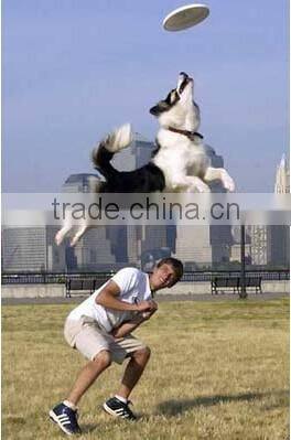 UFO frisbee disk Children flying disc for dog