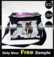 Outdoor fitness nonwoven insulated lunch bag cooler bag CB-036