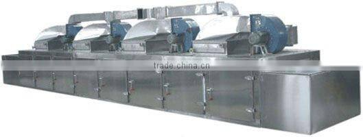 DW Vegetables Mesh Belt Dryer