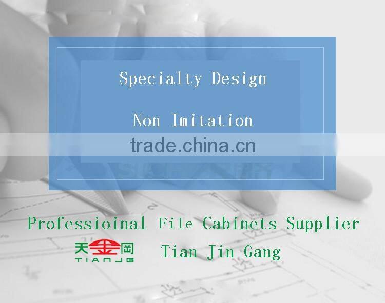 TianJinGang Factory Price Shaw Walker Fireproof File Cabinet With 2 Doors And 4 Shelves