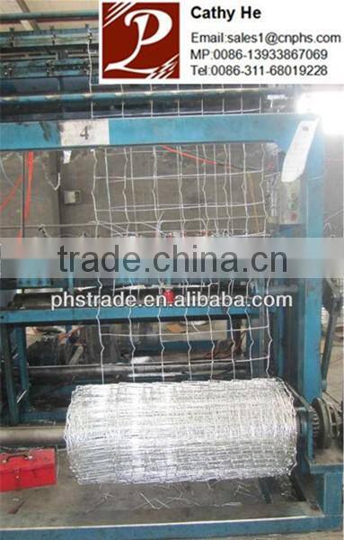 Hot dipped galvanized wire mesh fence/ boundary fencing
