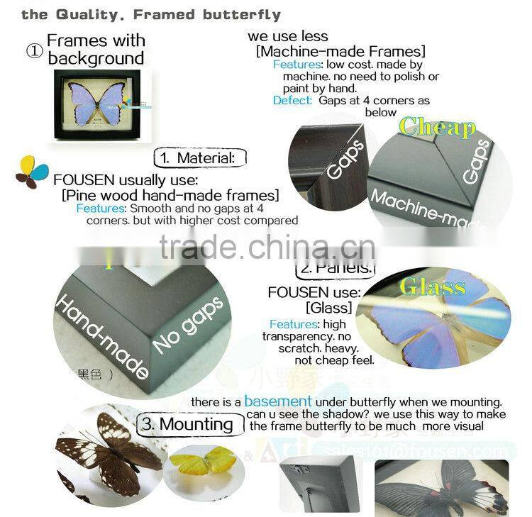 FOUSEN(011) Nature& Art natural real dried butterfly unique table frame