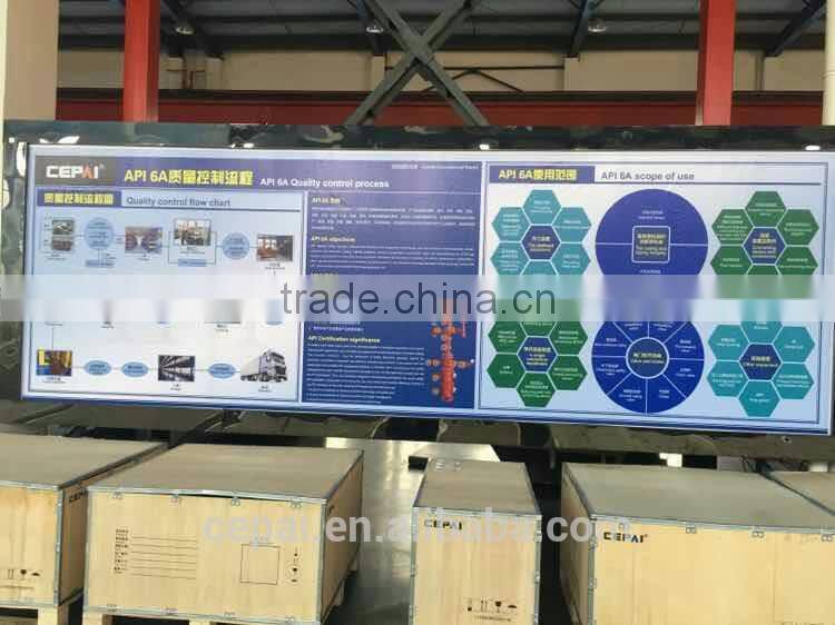 WZP-240 explosion-proof type RTD