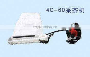 Gasoline Tea Plucker