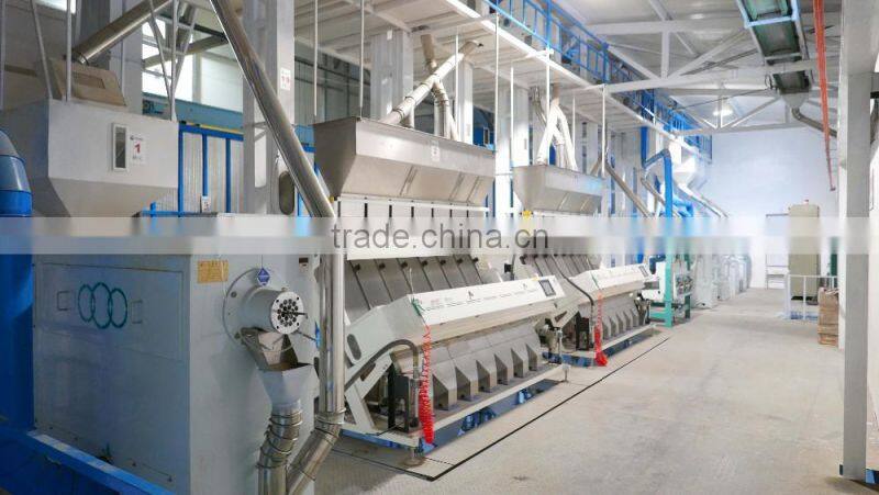 high quality Chinese hulled oats, naked oats, flat oat flakes, rolled oats price