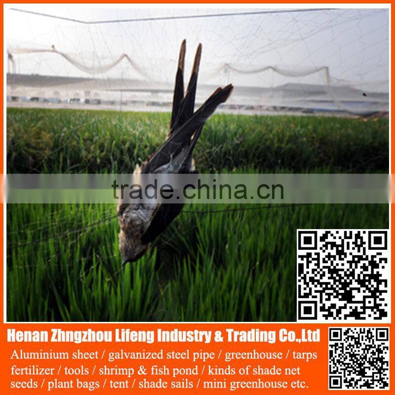 Garden Bird Trap Netting , Anti Bird Net for Agriculture