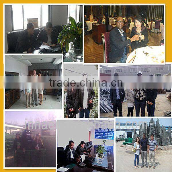 INNAER8 PVC Coated welded wire mesh ( 2013 New Design )