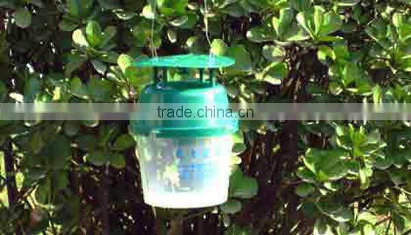 bucket trap with insect pheromone lures