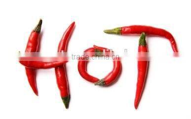 Automatic Mesh Belt Conveyor Dryer