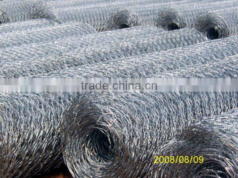 Standard 13mm (1/2'') hex aperture Hexagonal wire mesh