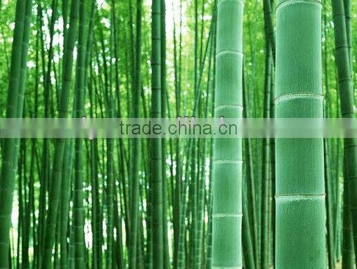 Original bamboo sawn machine