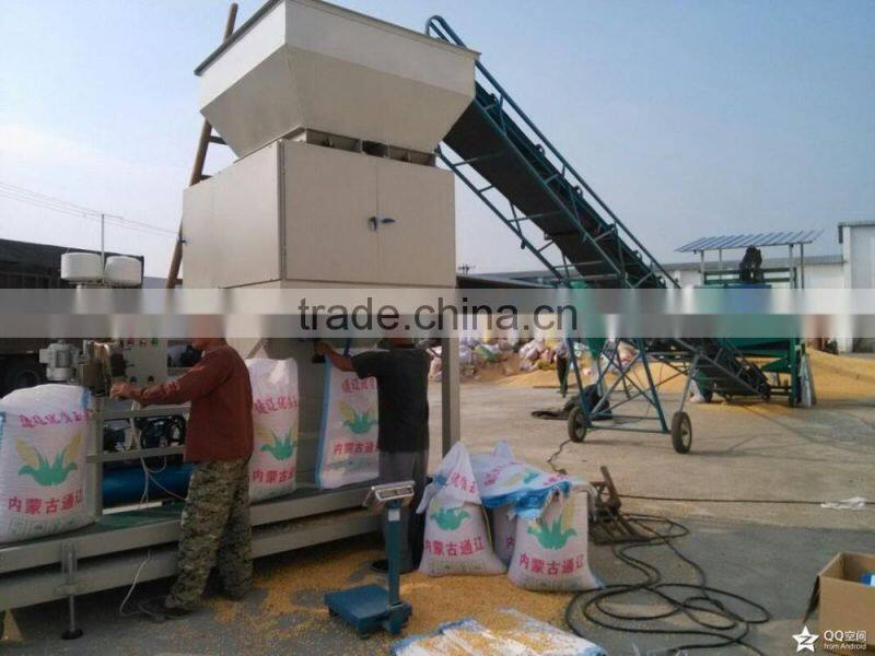 China High Accuracy Granular Type 50kg 100kg Grain Packaging Machine in Hot Sale