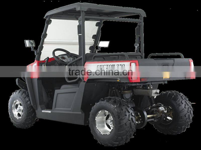 250cc 12KW EFI engine UTV Utility Vehicle (TKU250E-2B)