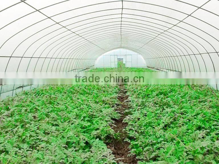 Factory Price Plastic Angricultural Greenhouses For Sale