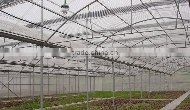 Sunshine ecological in greenhouse