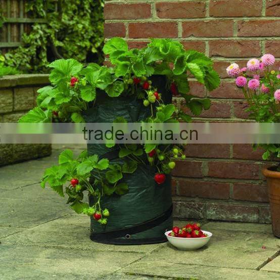 Pop Up Strawberry Grow Bag,Strawberry Planter Bag