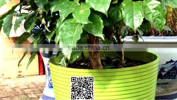 300*270 Biodegradable Colorful Plant Fiber Flower Pot