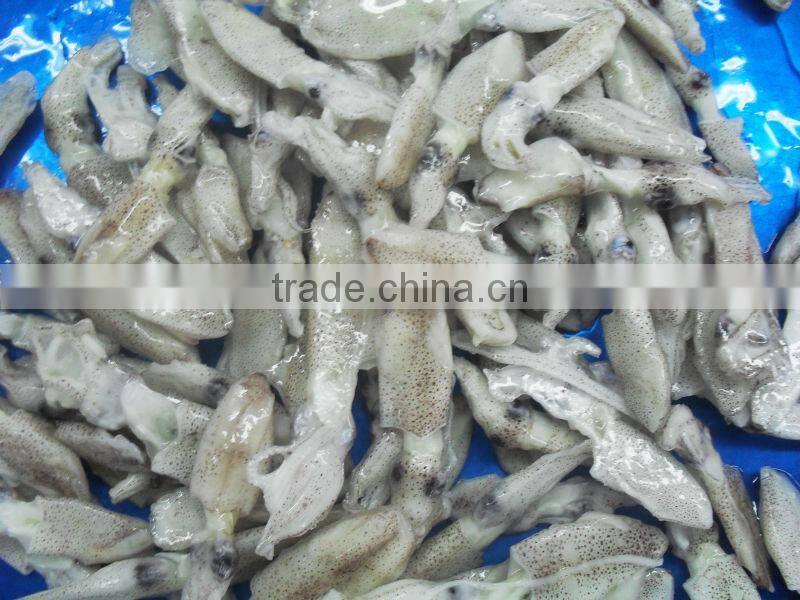 squid (chinese seafood)