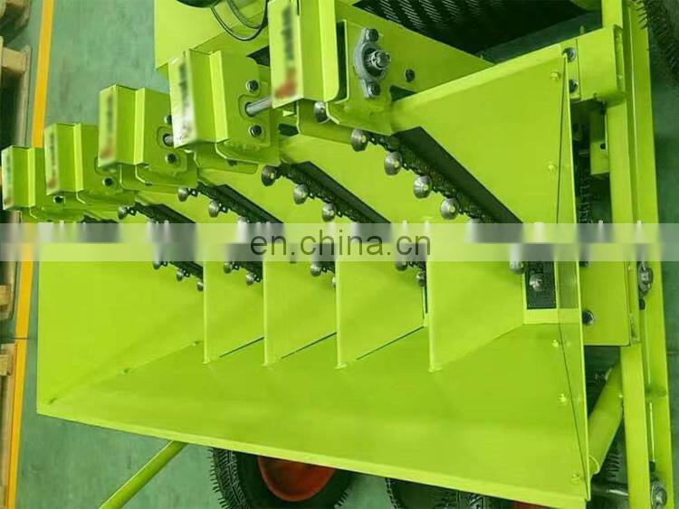 Automatic Type 5 Rows Garlic Seed Planter Garlic Seeder Machine