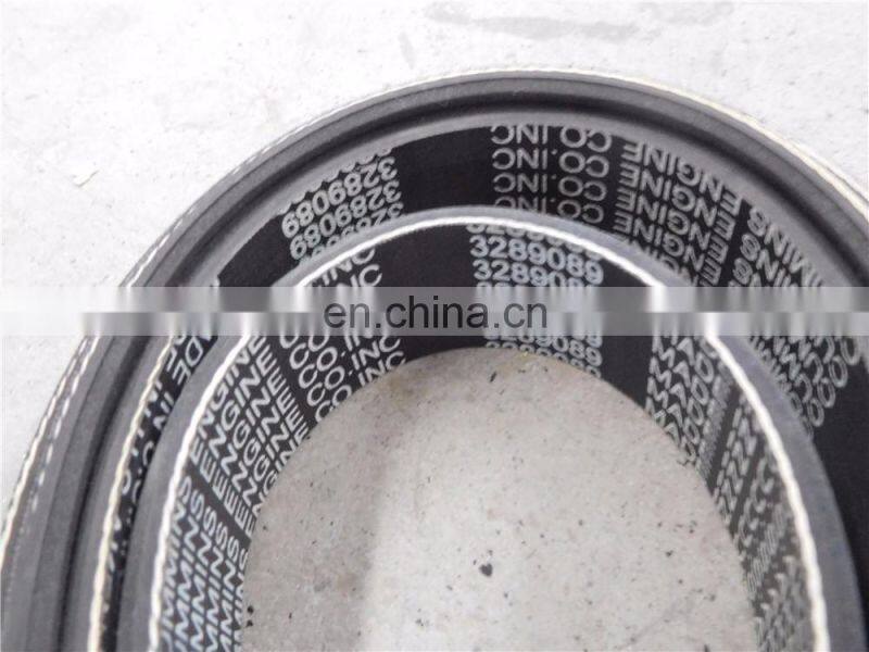 3289089 belt