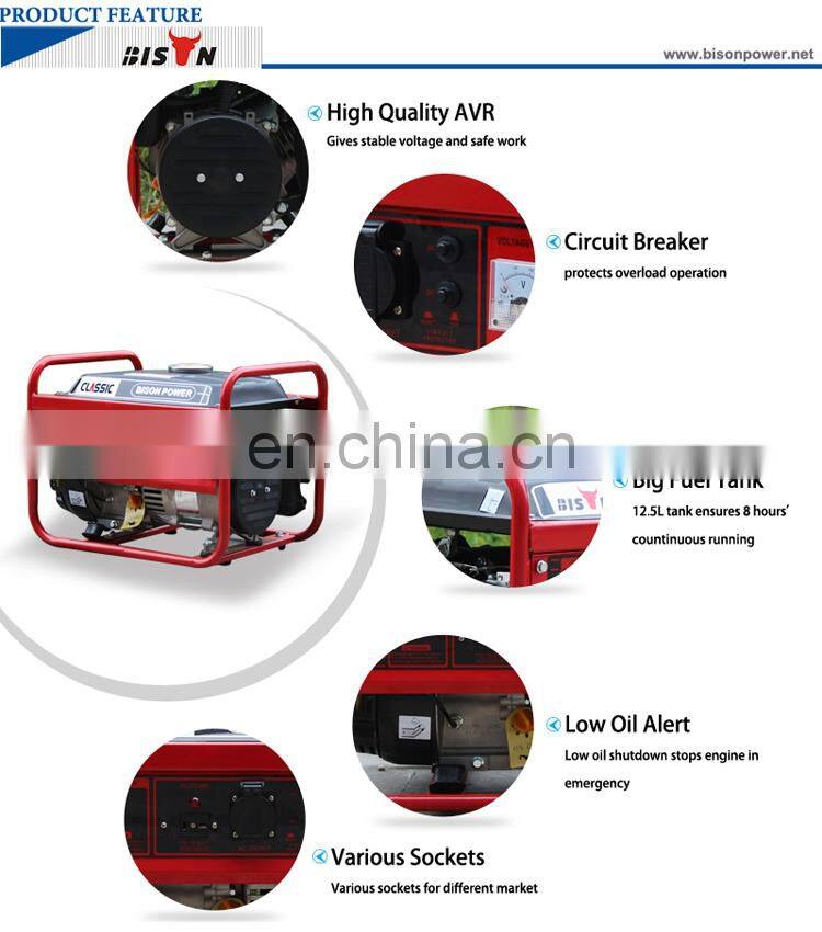 1KW 154F 2.5HP 110v/220v Gasoline engine Generator/mikano generators