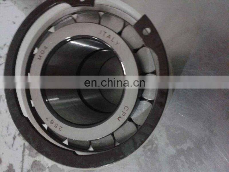 Italy Brand Cylindrical Roller Bearing CPM 2645 CPM2645
