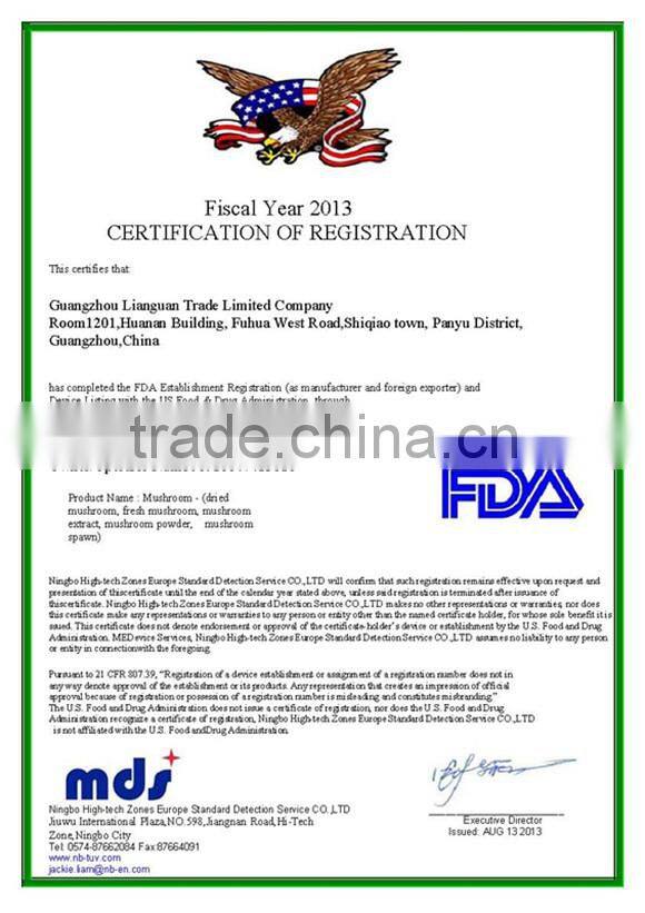 Good quality Dried Lion's Mane mushroom