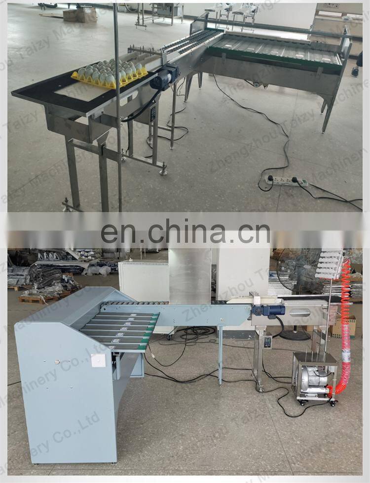 commercial Poultry Equipment Egg Grading Machine egg sorting grading machinery